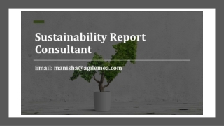 Sustainability Report Consultant