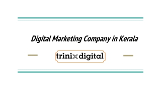 Digital Marketing Company in Kerala