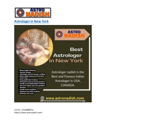 Best Astrologer in New York -astronadish