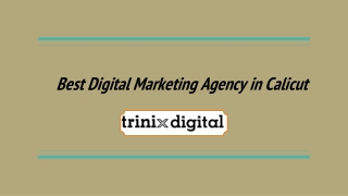 Best Digital Marketing Agency in Calicut