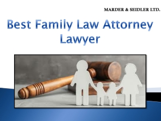 Best Family Law Attorney Lawyer-Marder&Seidler Law Firm