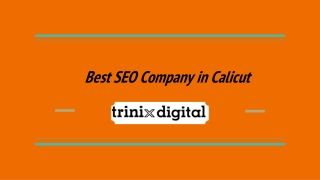 Best SEO Company in Calicut - 2023