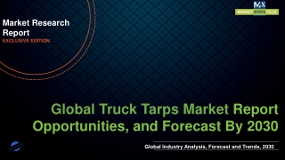 Truck Tarps Market will reach at a CAGR of 4.1% from to 2030