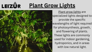 Plant Grow Lights