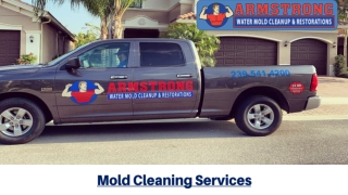 Mold Cleaning Services In Fort Myers To Keep Your Property Safe