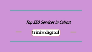 Top SEO Services in Calicut | 2023 - 2024