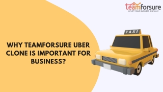 why teamforsure uber clone is important for business