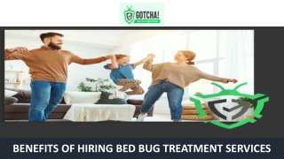 Benefits of Hiring Bed Bug Treatment Services