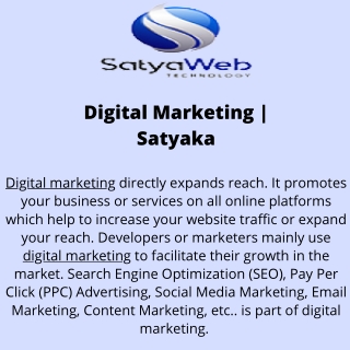 Digital Marketing  Satyaka