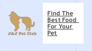 Small Pets Supplies for Happy and Healthy Furry Friends