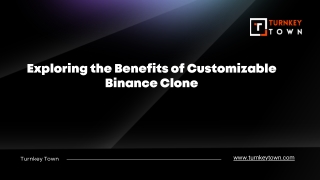 Exploring the Benefits of Customizable Binance Clone