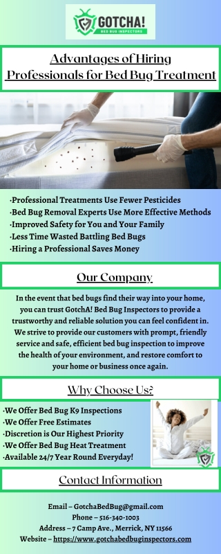 Advantages of Hiring Professionals for Bed Bug Treatment
