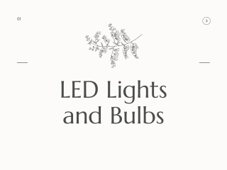 LED Lights and Bulbs