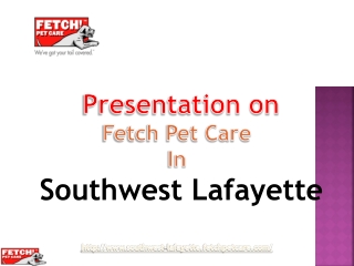 Fetch Pet Care- The Pet Lovers