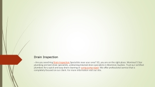 Drain Inspection