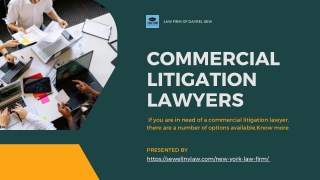 Commercial litigation lawyer