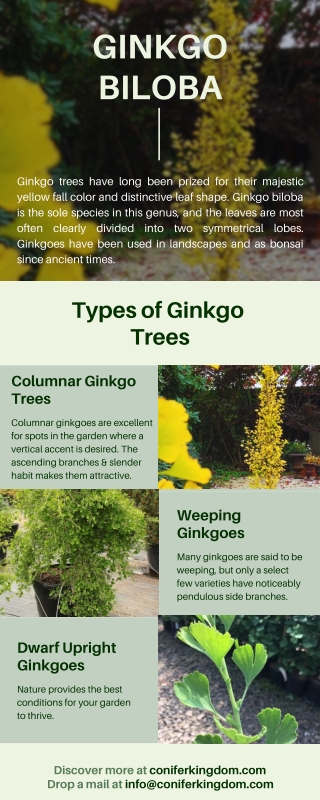 Types of Ginkgo Trees for Different Environments