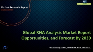 RNA Analysis Market Report Opportunities, and Forecast By 2030