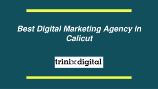 Best Digital Marketing Agency in Calicut