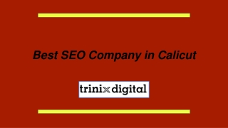 Best SEO Company in Calicut | SEO Experts
