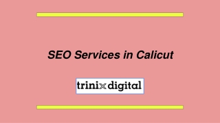 SEO Services in Calicut | SEO Agency