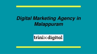 Digital Marketing Agency in Malappuram