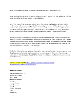 Capillary Electrophoresis Market