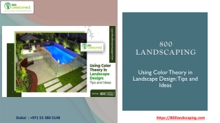 Using Color Theory in Landscape Design-Tips and Ideas