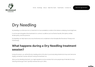 Experiencing Pain Relief Through Dry Needling Treatment in the Blue Mountains