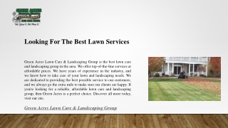 Looking For The Best Lawn Services