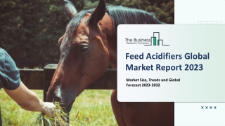 Feed Acidifiers Market Research 2023-2032 – Outlook, Overview