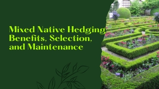 Mixed Native Hedging Benefits, Selection, and Maintenance