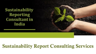 Sustainability Report Consulting Services