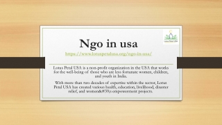 Ngo in usa PPT