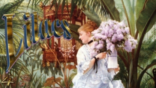 Flowering lilacs for celebrate spring4