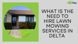 What Is The Need To Hire Lawn Mowing Services In Delta