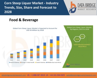 Corn Steep Liquor Market