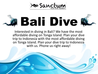 Bali Dive