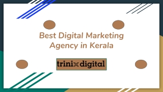 Best Digital Marketing Agency in Kerala