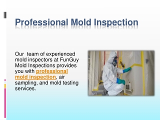 Professional Mold Inspection