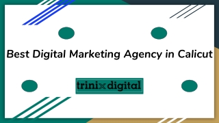 Best Digital Marketing Agency in Calicut