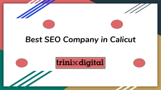Best SEO Company in Calicut