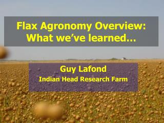 Flax Agronomy Overview: What we’ve learned…