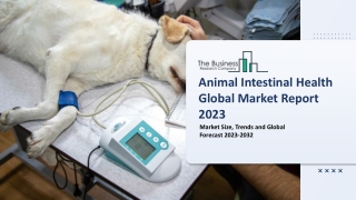 Global Animal Intestinal Health Market 2023 - By Size, Share And Forecast To 203