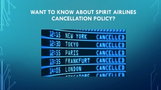 Want to know about Spirit Airlines Cancellation Policy