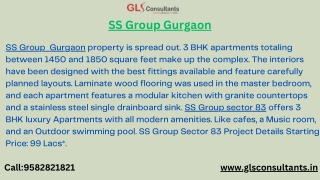 SS Group Gurgaon