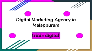 Digital Marketing Agency in Malappuram