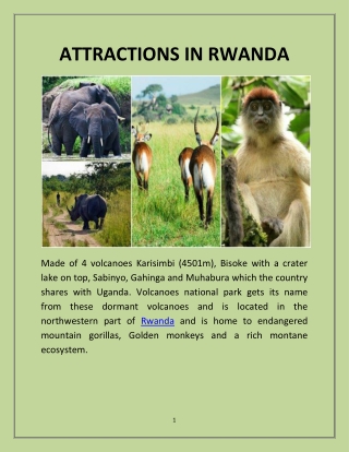 ATTRACTIONS IN RWANDA