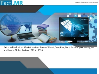 Extruded Inclusions Market
