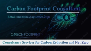 Consultancy Services for Carbon Reduction and Net Zero